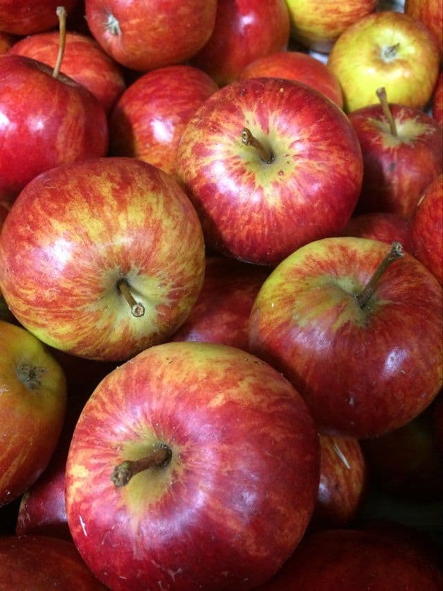 Apples, Red